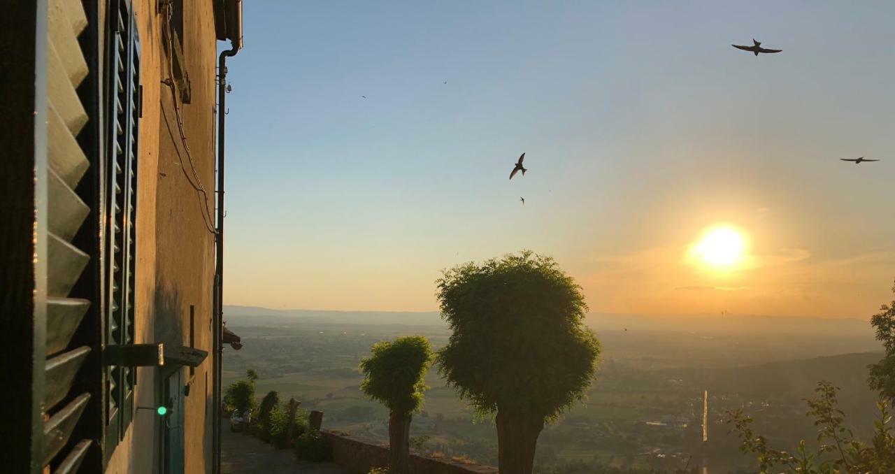Una Pausa Te Per L'Anima - Casa Vacanza Cortona Eksteriør billede